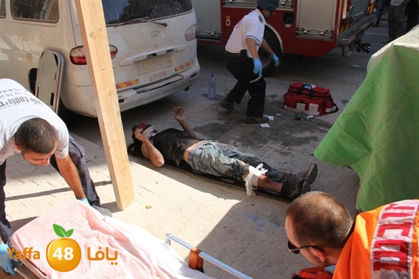 mabna inu910y (7).JPG